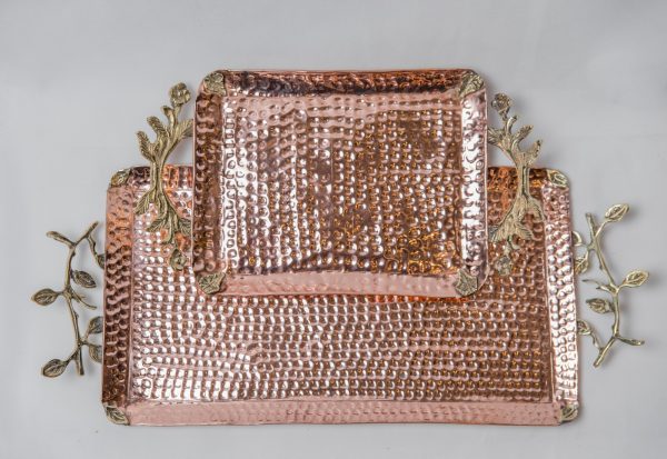 WhatsApp Image 2024-04-17 at 1.04.54 PM