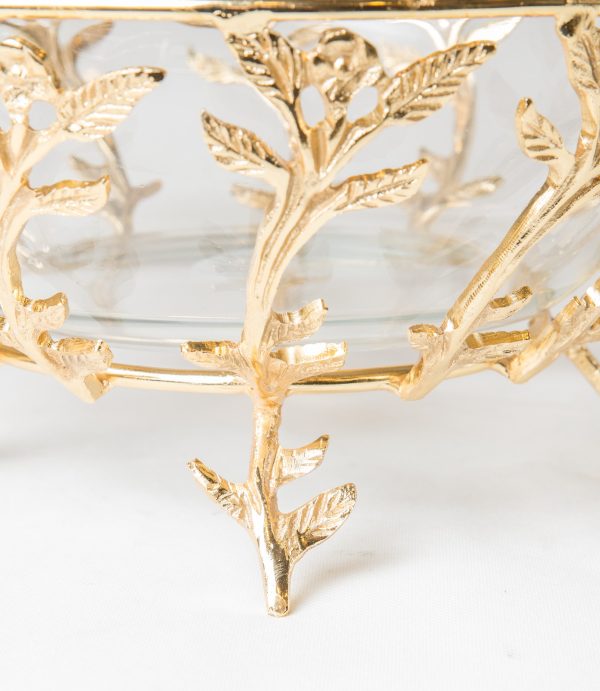 WhatsApp Image 2024-04-17 at 1.13.30 PM (3)