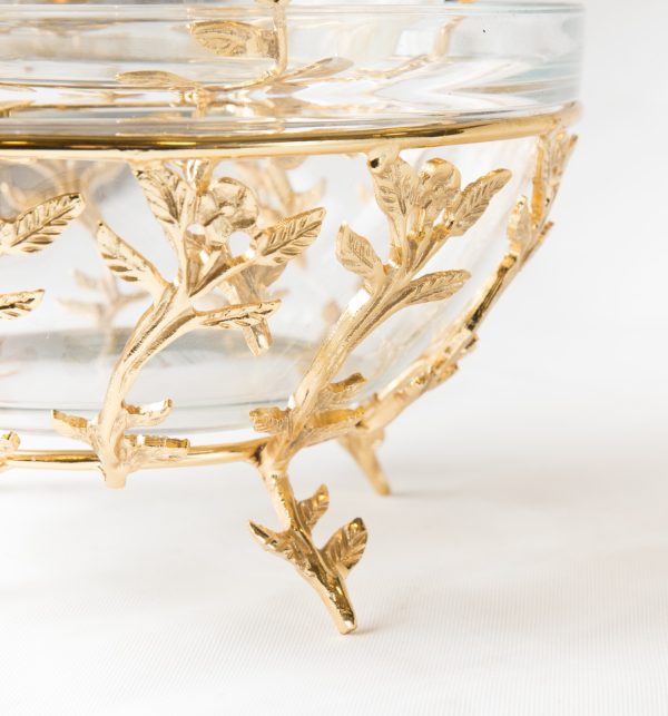 WhatsApp Image 2024-04-17 at 1.13.30 PM (4)