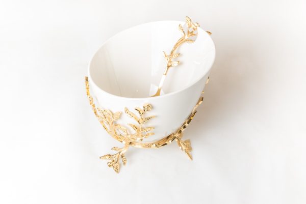 WhatsApp Image 2024-04-17 at 1.13.32 PM (1)