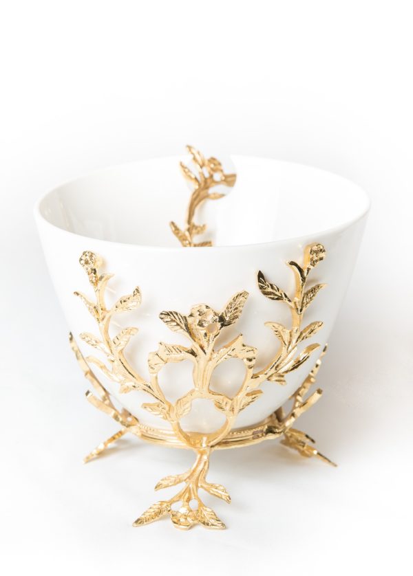 WhatsApp Image 2024-04-17 at 1.13.32 PM (4)