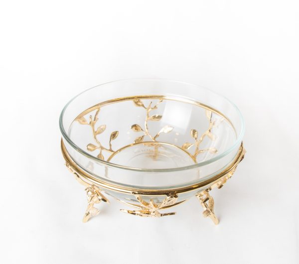 WhatsApp Image 2024-04-17 at 1.13.32 PM