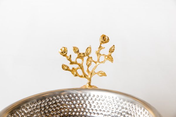 WhatsApp Image 2024-04-17 at 1.13.34 PM (5)