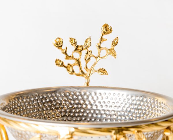 WhatsApp Image 2024-04-17 at 1.13.34 PM (6)