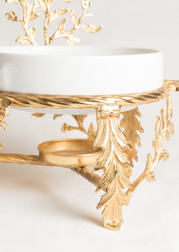 WhatsApp Image 2024-04-17 at 1.15.42 PM