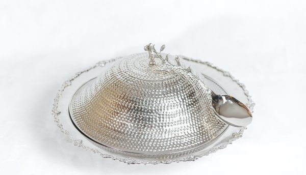 WhatsApp Image 2024-04-17 at 12.57.25 PM (4)